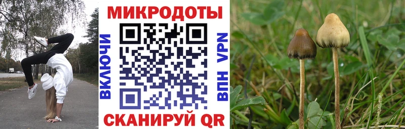 наркотики кракен как войти Псилоцибиновые грибы Psilocybe Таруса
